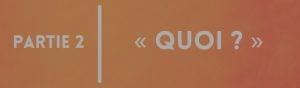 Bouton d'accès à la deuxième partie du sondage (Grande consultation de l'UNEQ). Bouton inactif.